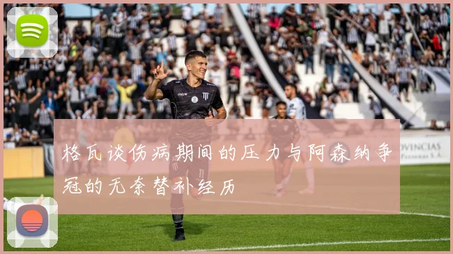 格瓦谈伤病期间的压力与阿森纳争冠的无奈替补经历