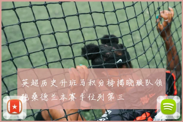 英超历史升班马积分榜揭晓狼队领跑桑德兰本赛季位列第三